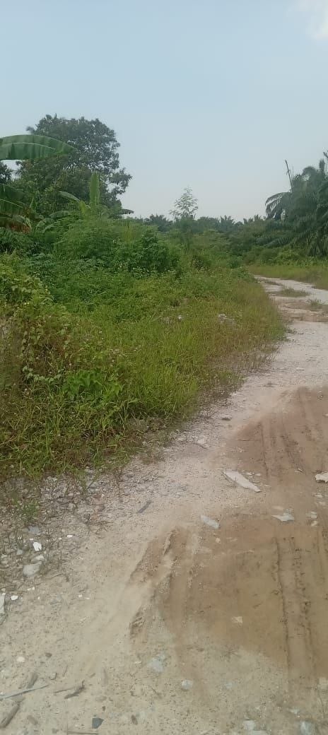 KAPAR Kg Perepat | TANAH BESAR MUKIM KAPAR Geran Individu  UNTUK DIJUAL!!️  •Status Pertanian •Leasehold 99 tahun (hingga 2104) - Image 1