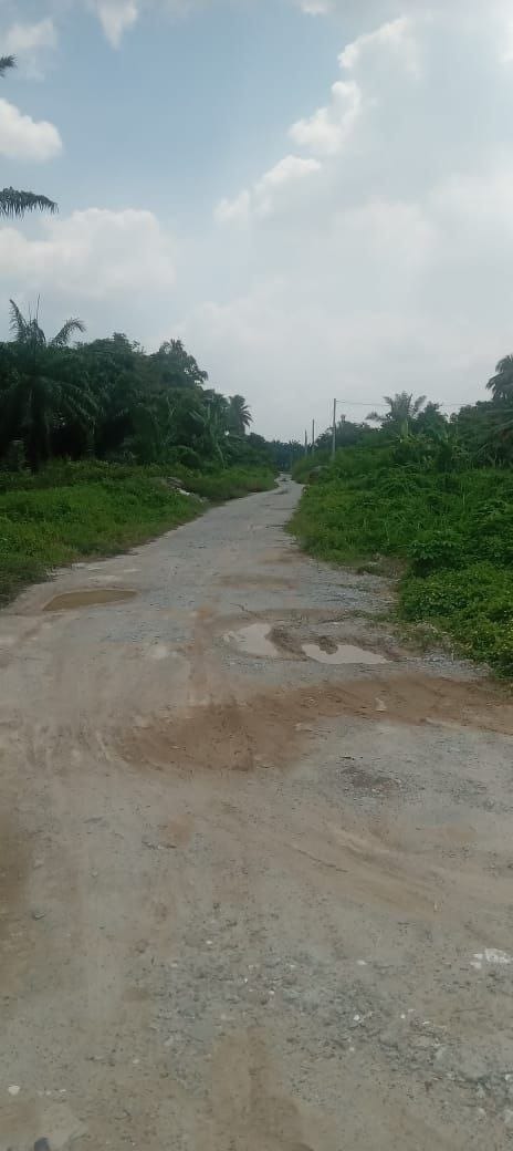 KAPAR Kg Perepat | TANAH BESAR MUKIM KAPAR Geran Individu  UNTUK DIJUAL!!️  •Status Pertanian •Leasehold 99 tahun (hingga 2104) - Image 2