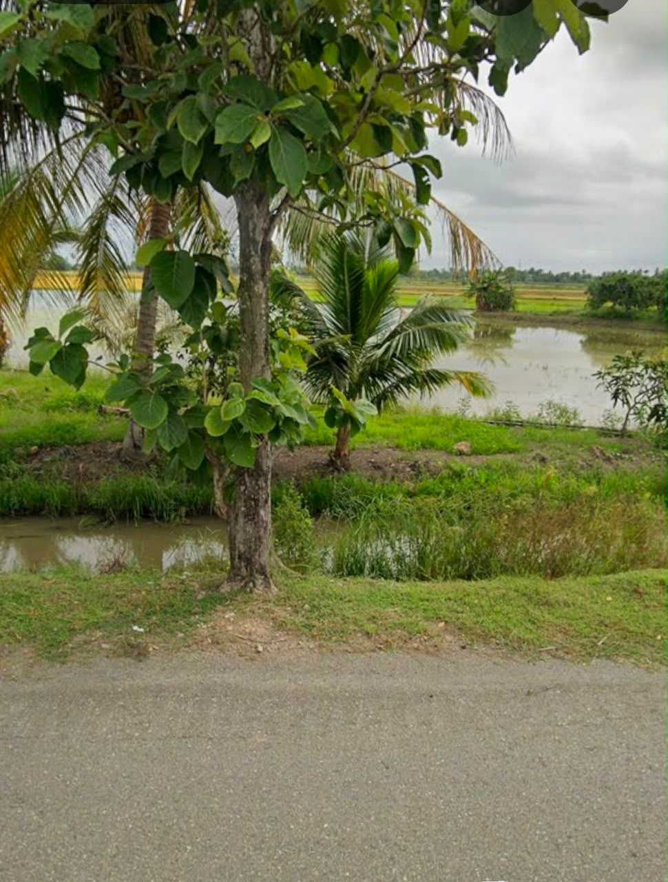 TANAH LOT TEPI JALAN UNTUK DIJUAL - Image 8