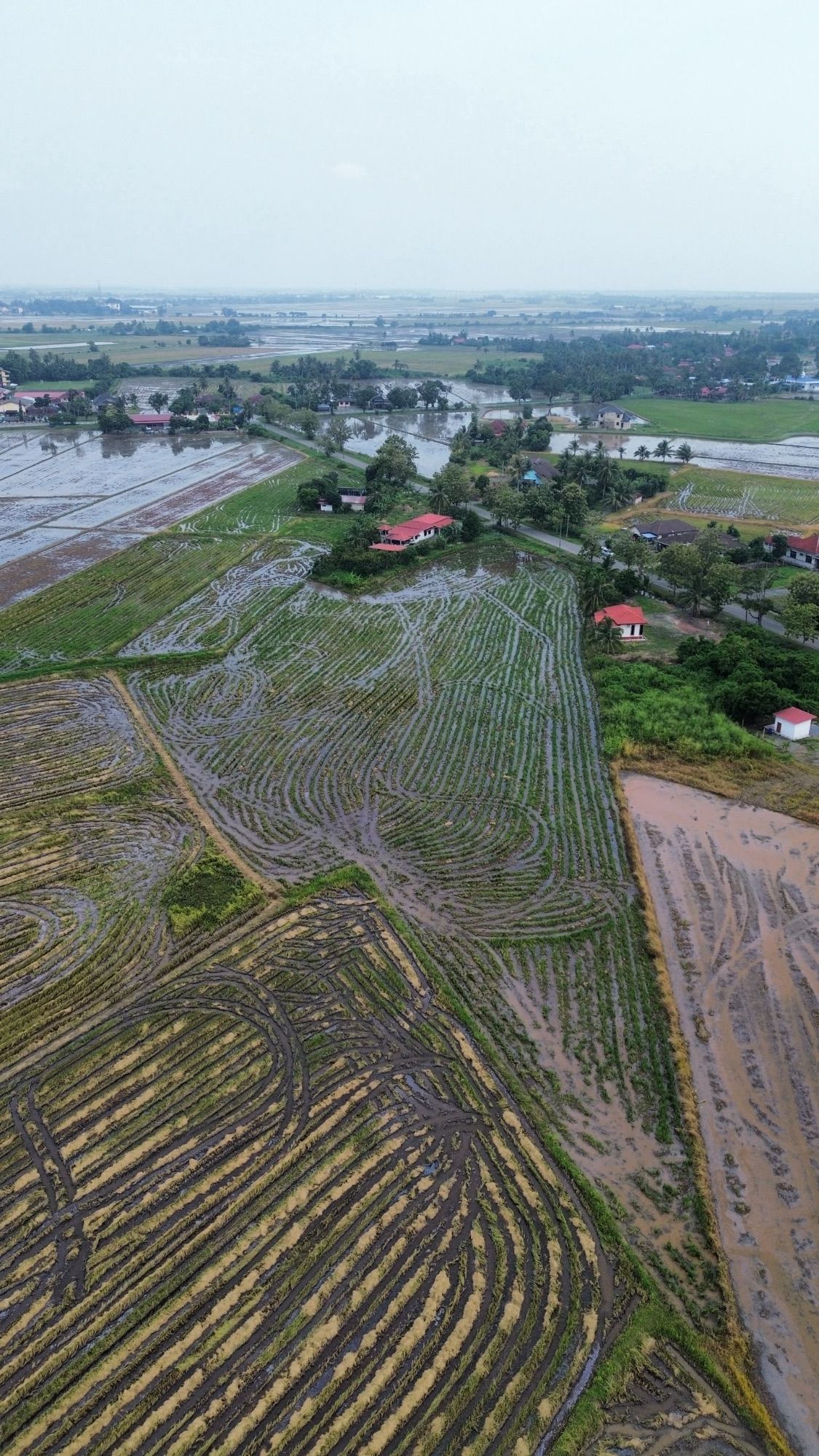 TANAH LOT TEPI JALAN UNTUK DIJUAL - Image 4