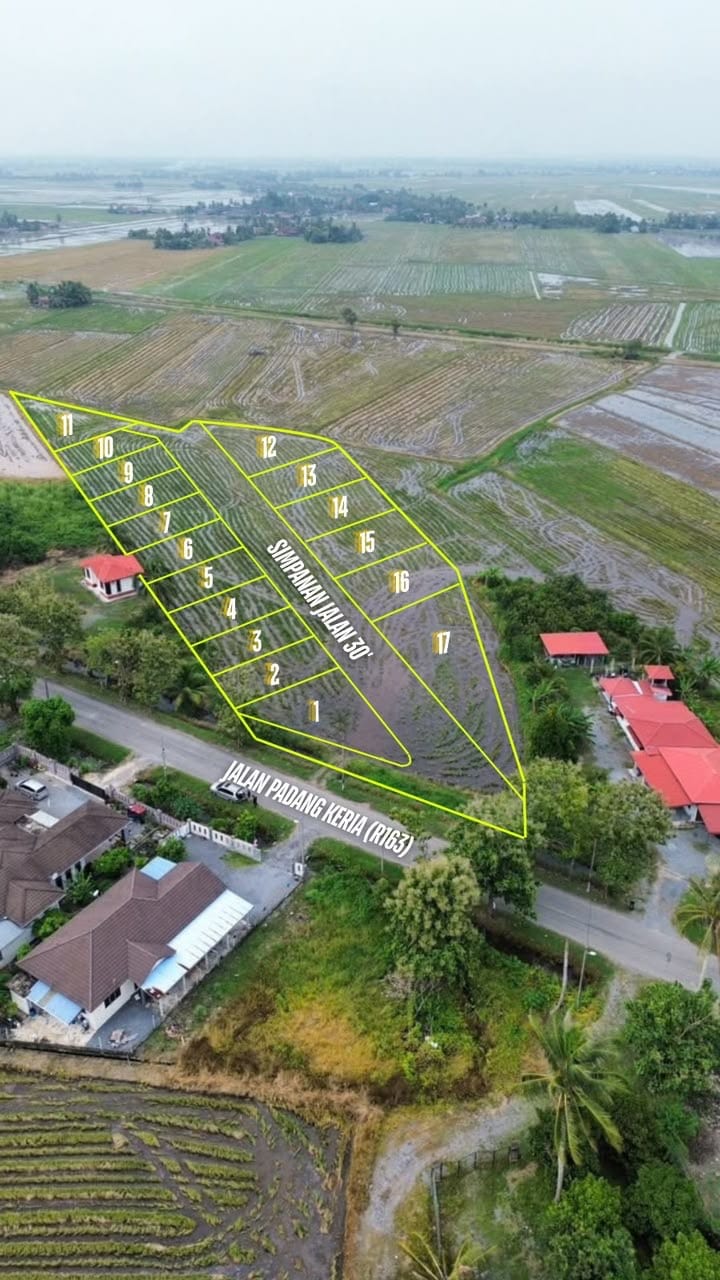 TANAH LOT TEPI JALAN UNTUK DIJUAL - Image 2