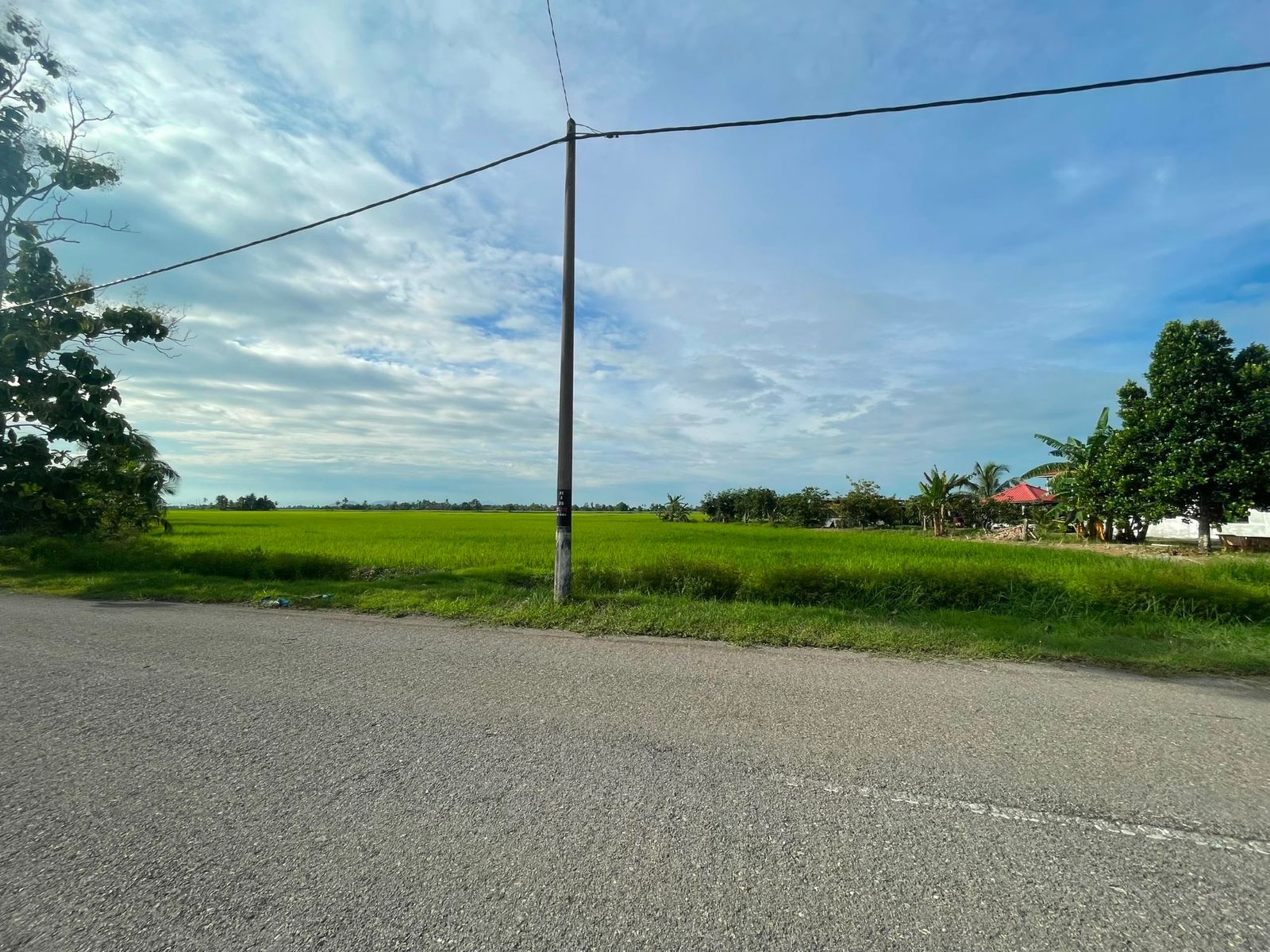 TANAH LOT TEPI JALAN UNTUK DIJUAL - Image 6