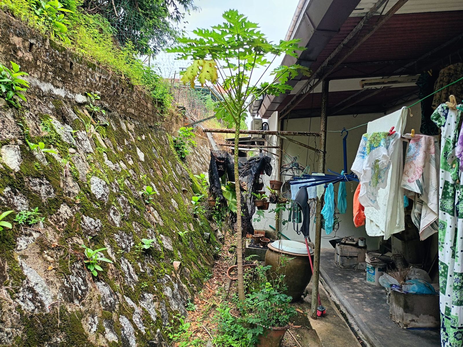 2 storey semi detached House near Mount Miriam at Tanjung Tokong Penang  - Image 12