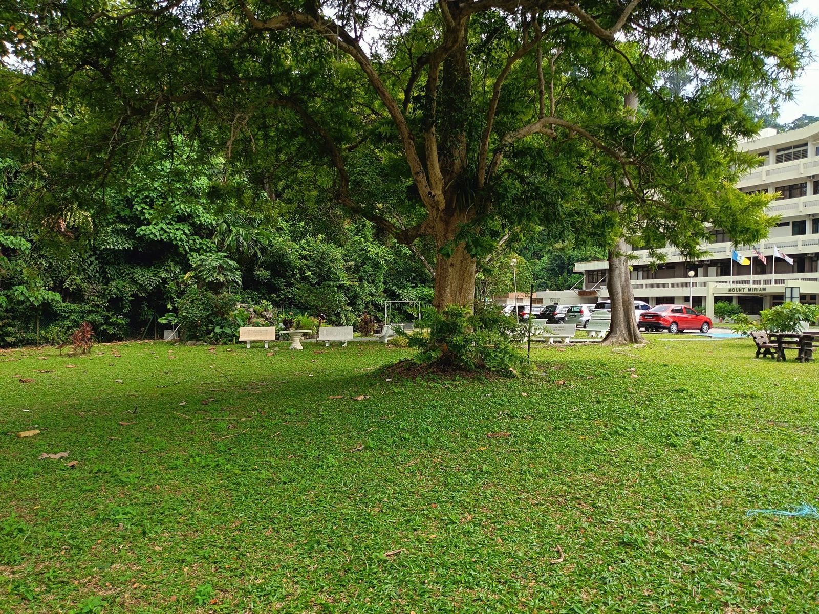 2 storey semi detached House near Mount Miriam at Tanjung Tokong Penang  - Image 3