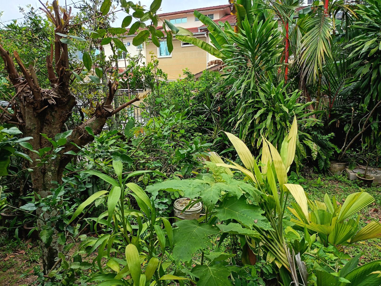 2 storey semi detached House near Mount Miriam at Tanjung Tokong Penang  - Image 6