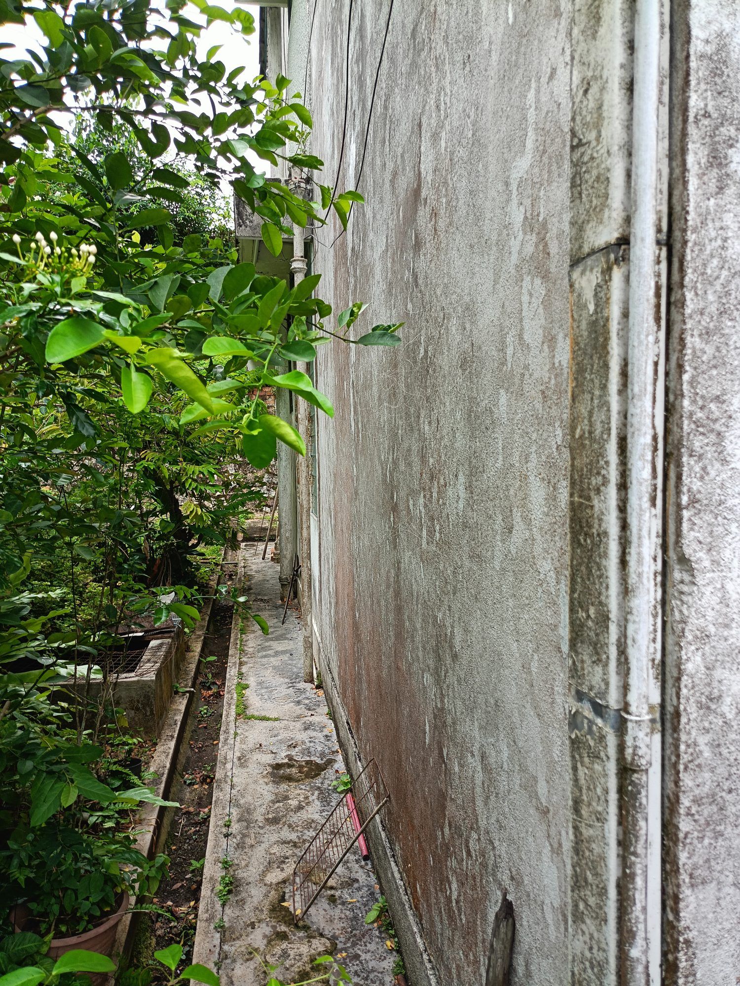 2 storey semi detached House near Mount Miriam at Tanjung Tokong Penang  - Image 7