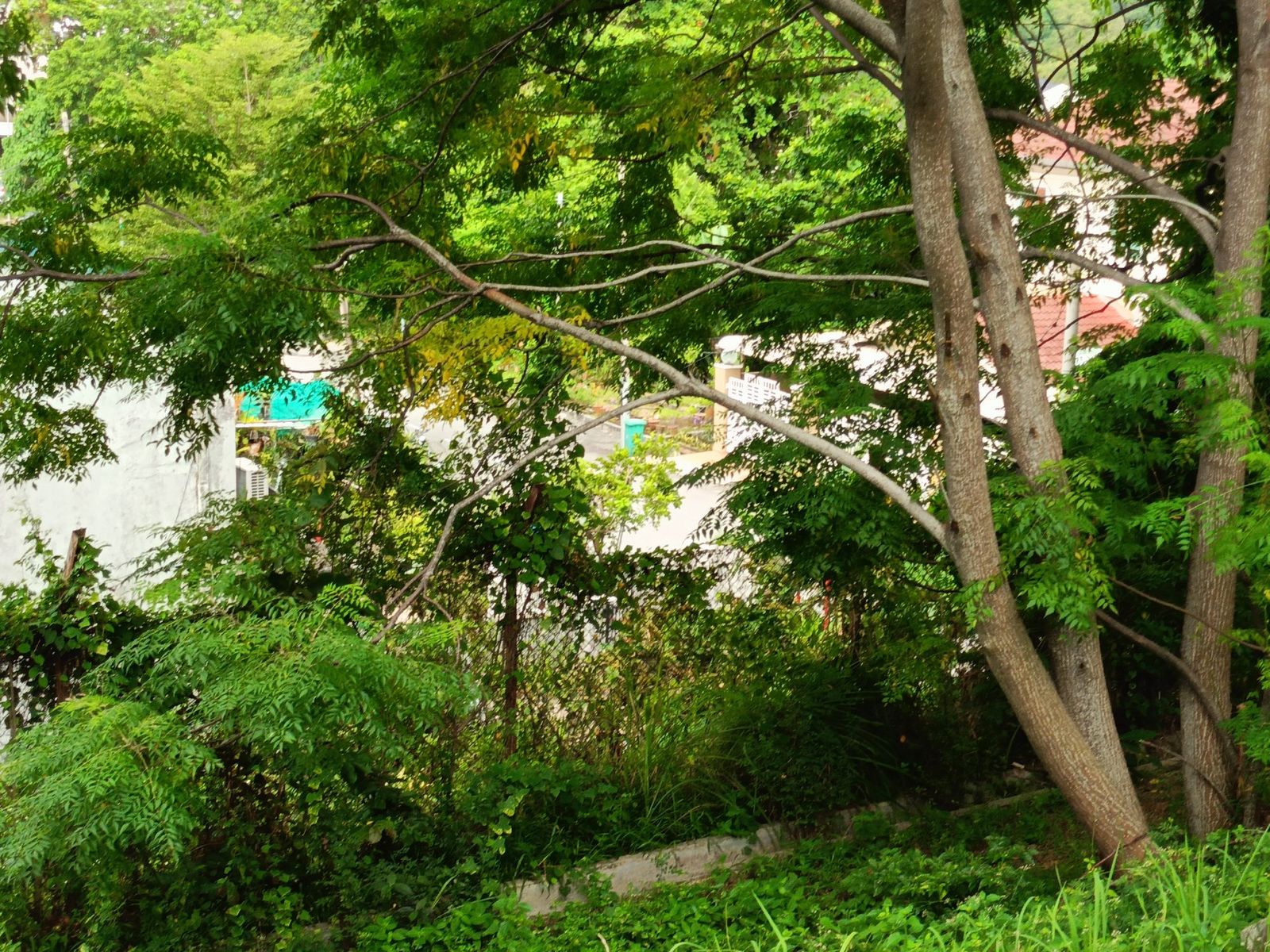 2 storey semi detached House near Mount Miriam at Tanjung Tokong Penang  - Image 4