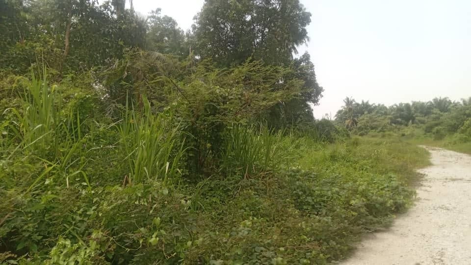 Tanah untuk dijual KAPAR | 1 EKAR LEBIH | RM450K | GERAN INDIVIDU - Image 3