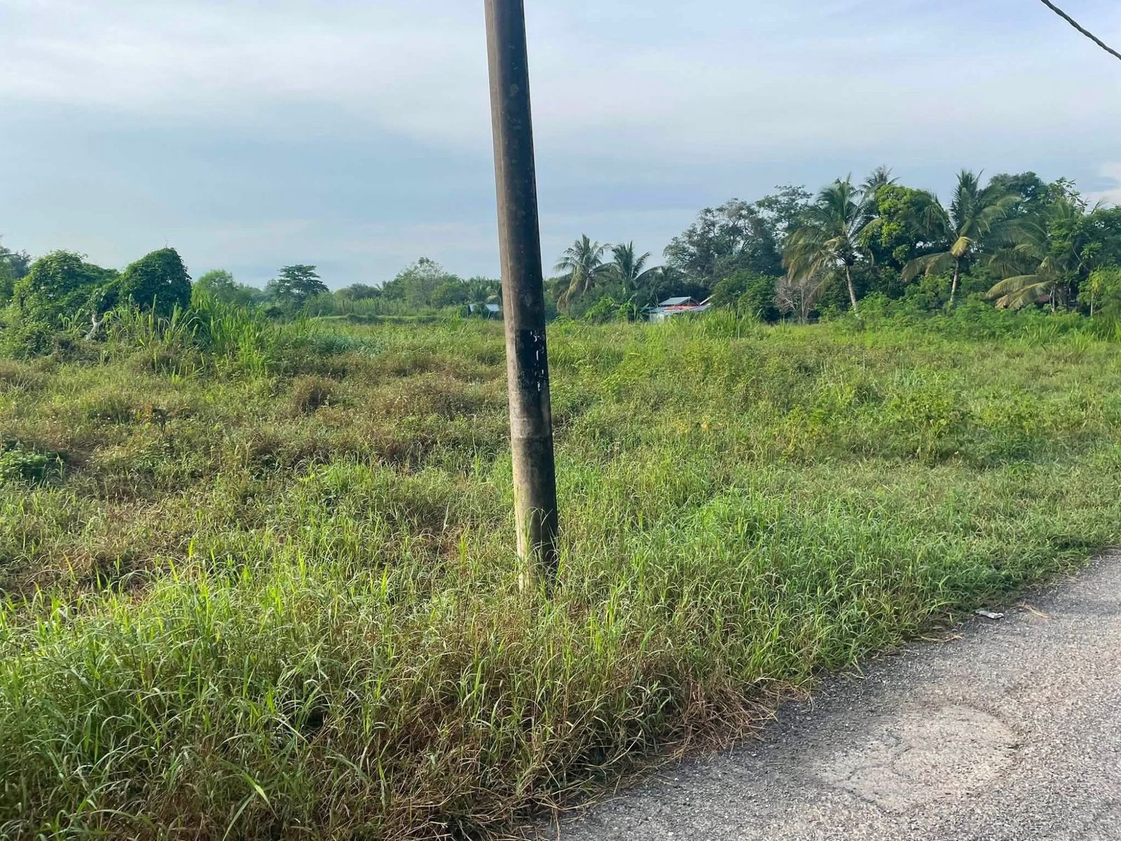 TANAH GERAN INDIVIDU RAPAT MINI TAR UNTUK DIJUAL - Image 3