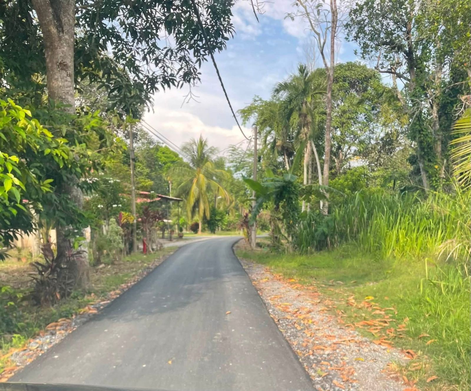 Access road - TANAH GERAN INDIVIDU RAPAT MINI TAR UNTUK DIJUAL - Image 5