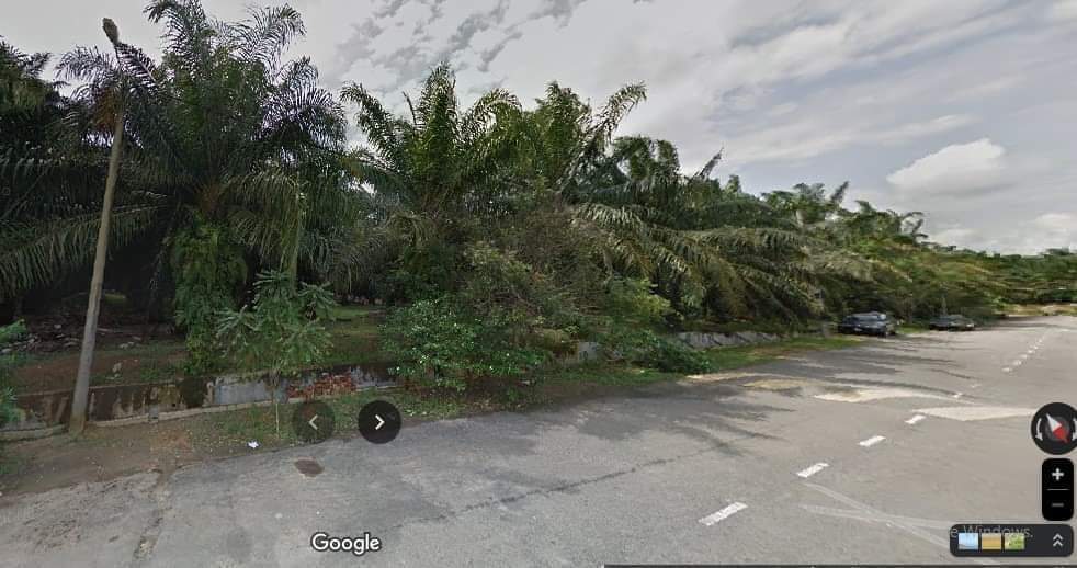 land for sale - Image 3