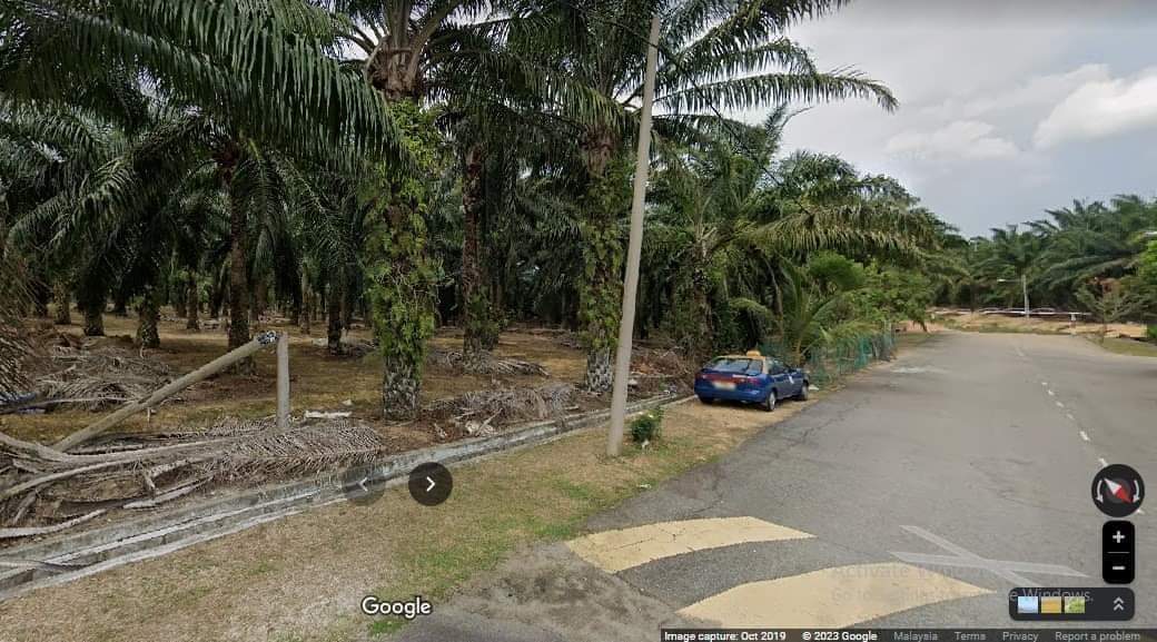 land for sale - Image 4
