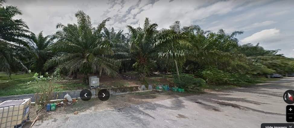 land for sale - Image 1