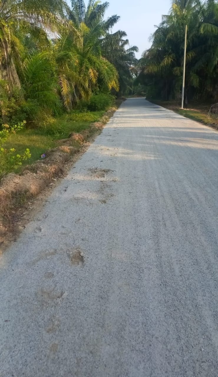 Tanah Pertanian Luas 0.4075 Hektar di Sg. Kajang Tambahan, Tanjung Karang – RM160,000 🌿 - Image 1