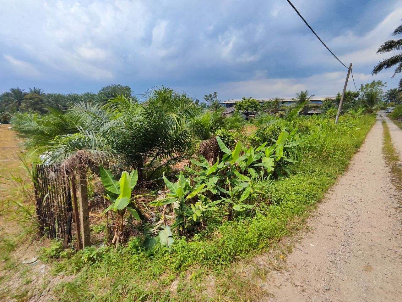 Agriculture Land For Sale Kampung Sri Paya Kelapa Sawit | 162,914 sqft | RM2.28M - Image 1