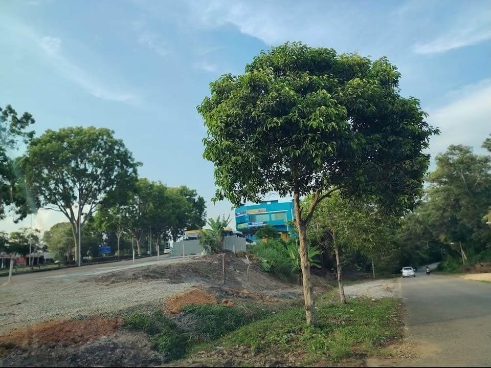 AMJ Mainroad Commercial/Workshop land for Rent - Image 3