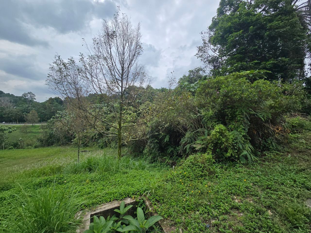 The land - Lot Bungalow at Kayangan Heights, Shah Alam - Image 4