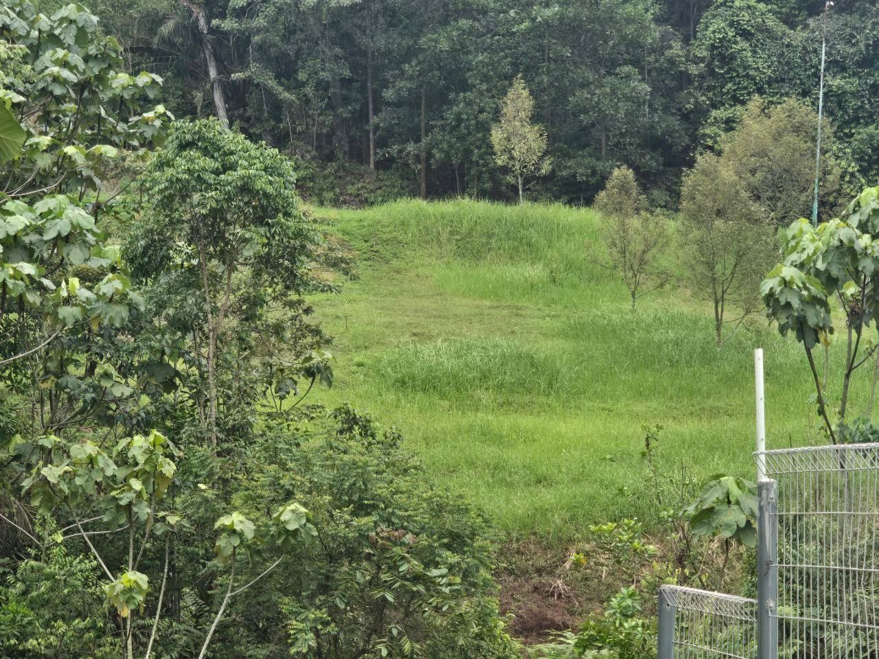 Lot Bungalow at Kayangan Heights, Shah Alam - Image 2