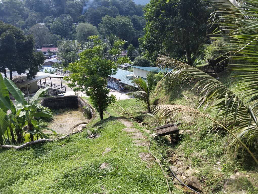 1 Ekar Tanah Pertanian dan Rumah Kampung Kemensah Ampang Selangor - Image 5