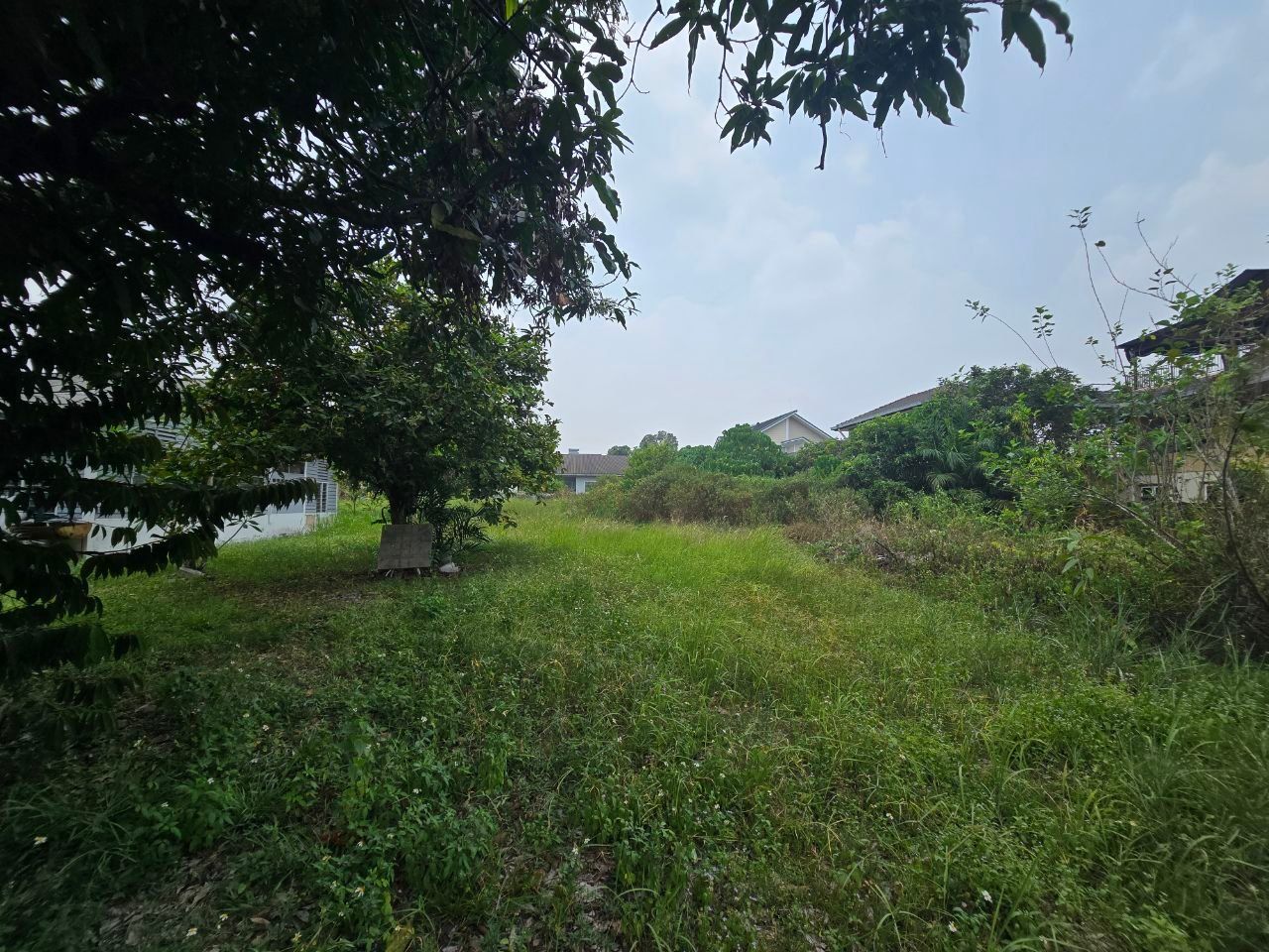 FACING OPEN BUNGALOW LOT KAMPUNG SUNGAI KANTAN KAJANG - Image 1