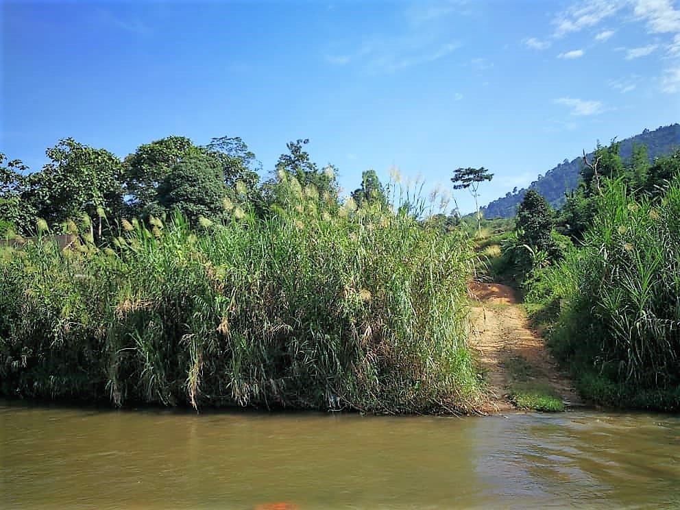 FREEHOLD Agricultural Land Near the Main Road in Sungai Lui, Hulu Langat - Image 3