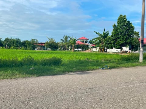 TANAH LOT TEPI JALAN UNTUK DIJUAL