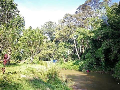 FREEHOLD Agricultural Land Near the Main Road in Sungai Lui, Hulu Langat